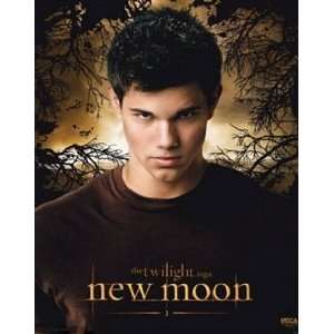  Taylor Lautner Twilight Jacob Movie Poster 16 x 20 inches 