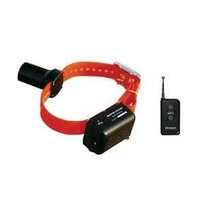  DT Systems BTB809 Baritone Beeper Locator Dog Collar with 