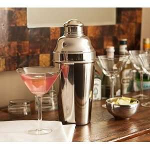  Pottery Barn Party Cocktail Shaker