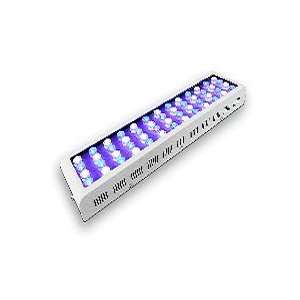  100W Dimmable LED Grow Light