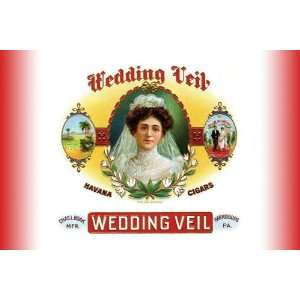  Exclusive By Buyenlarge Wedding Veil 20x30 poster