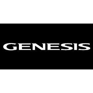  Hyundai Genesis Windshield Vinyl Banner Decal 36 x 3 