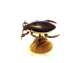 Yujin Kaiyodo F Toys Aquarium Japanese Diving Beetle Bug Insect Figure 
