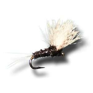  CDC Biot Comparadun   Trico Male Fly Fishing Fly Sports 