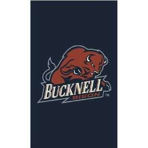  NCAA Team Spirit Rug   Bucknell Bisons