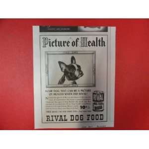  Rival dog food, 1950 Print Ad (Bulldog.) Orinigal Vintage 