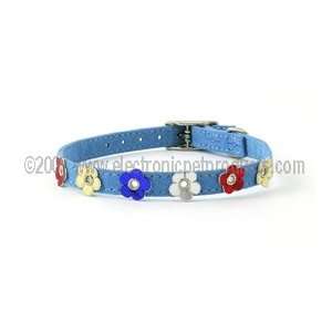  Blue Suede Dog Collar with multi colored flowers 12 in 