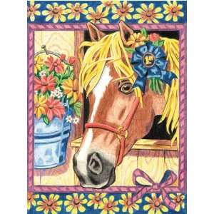  Blue Ribbon Pony Color By Number DMS91113 Toys & Games
