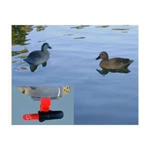   Pair of Swimmn Decoys Blue Winged Teal  Drake & Hen