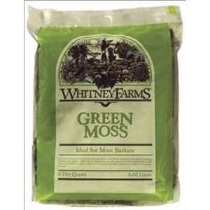  WHITNEY FARMS GREEN MOSS 6 quart