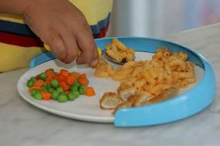 Plate Mate Feeding Spill Guard Toddler Special Needs OT  