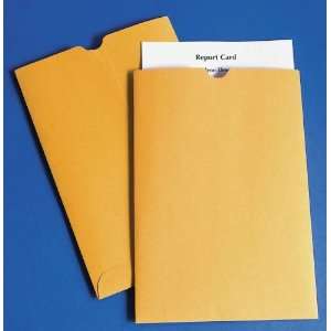  School Smart Report Card Envelopes  6 x 9   Pack of 500 