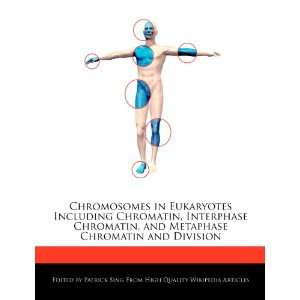  Chromosomes in Eukaryotes Including Chromatin, Interphase 