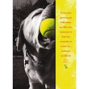  Bookmark Brother W/ Tennis Ball and Dog Health & Personal 