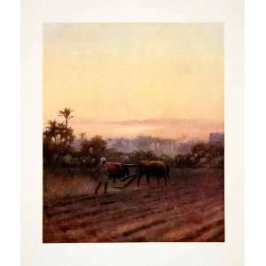   Oxen Fellah Robert Talbot Kelly   Original Color Print