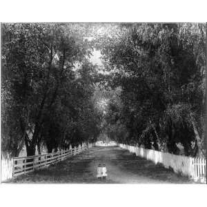  McClung Ranch,Kern County,California,CA,1880s