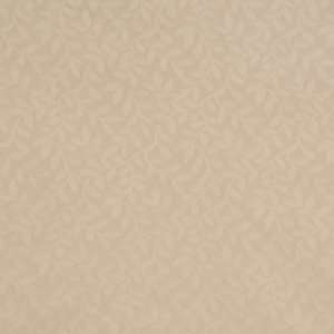  Fabricut Swoops Eggshell 3152307