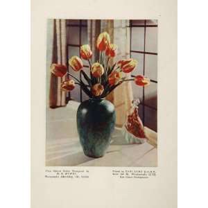  1935 Vase Tulip Flower G. H. Mewes Original Color Print 