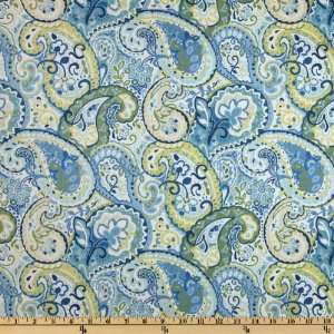  54 Wide Swavelle/Mill Creek Lizette Niagra Fabric By The 