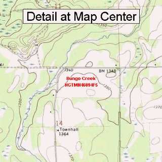  USGS Topographic Quadrangle Map   Bungo Creek, Minnesota 