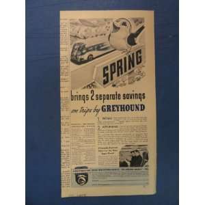 Greyhound Bus Line, Print Ad (Robin/bus/spring.) Orinigal 1937 Vintage 