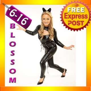 9129 Catwoman Superhero & Villain Ladies Fancy Costume  