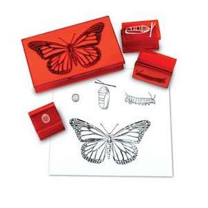  Learning Resources Butterfly Life Cycle Stamps; Four high 