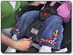   Car Seat, Opus Gray Britax Advocate 65 CS Click & Safe Convertible Car
