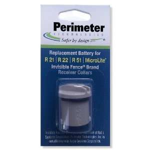 Invisible Fence R21 & R51 Dog Collar Battery