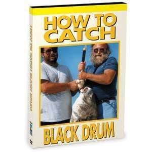   How To Catch Black Drum and Fishing 101 For Beginners 