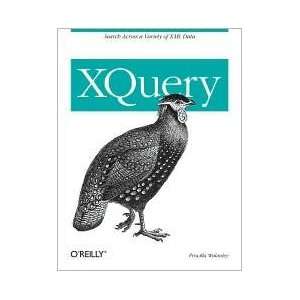    XQuery 1st (first) edition Text Only Priscilla Walmsley Books