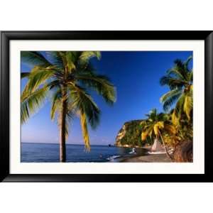  Palm Trees on Beach, Anse La Raye, Anse La Raye, St. Lucia 