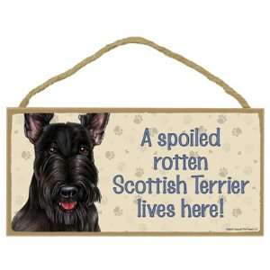 Scottish Terrier   A spoiled your favoriate dog breed lives here 