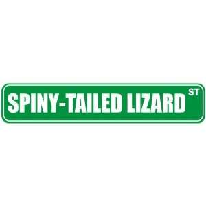  SPINY TAILED LIZARD ST  STREET SIGN