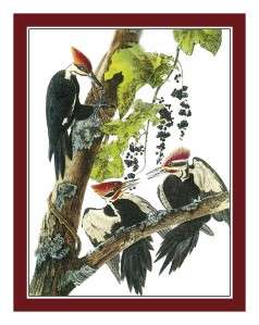 Naturalist Audubon Bird Pileated Woodpecker Counted Count Cross Stitch 