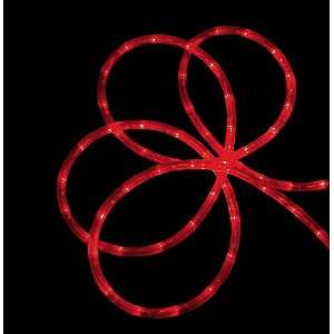   Festive Red LED Indoor/Outdoor Christmas Rope Lights