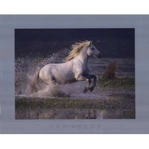  Aquatic Gallop by Hans W. Silvester 12x10