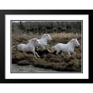 Hans Silvester Framed and Double Matted Print 29x35 Equus 