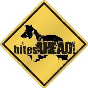  New  Shetland Sheepdog   Bites Ahead   Crossing Dog 