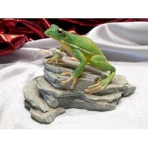  Green Tree Frog ~ Natural World Collection Figurine by 