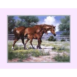  Horse And Colt   Poster by Jack Sorenson (20x16)