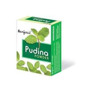  PUDINA POWDER 100g (2 packs)