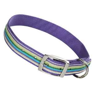   Lavender  Purple Haze  Striped Nylon Dog Collar 8 12