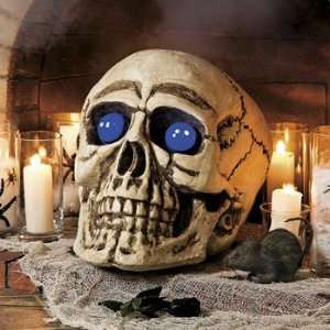  Giants Skull   Party Decorations & Room Decor Health 