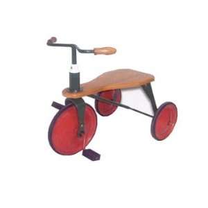  Velocipede Tricycle