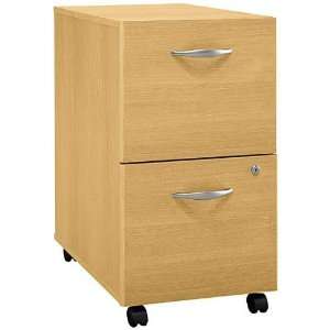  2 Drawer File