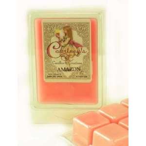     Mixer Melt or Wax Tart by Courtneys Candles