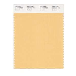  PANTONE SMART 13 1030X Color Swatch Card, Sunburst