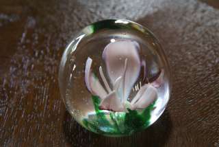 Glass Paperweight SDS Seapoot Group American Design Office Desk Supply 