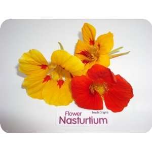 Edible Flower   Nasturtium   4 x 50 Grocery & Gourmet Food